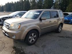 Salvage cars for sale at Arlington, WA auction: 2009 Honda Pilot EX