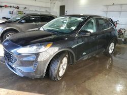 Salvage cars for sale at Chicago Heights, IL auction: 2020 Ford Escape SE