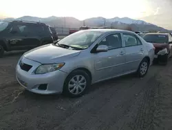 Toyota Vehiculos salvage en venta: 2010 Toyota Corolla Base