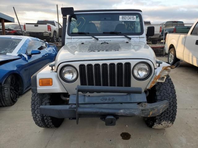 2002 Jeep Wrangler / TJ X