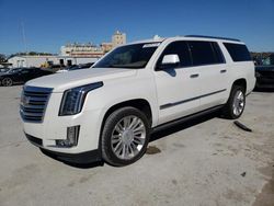 Cadillac salvage cars for sale: 2019 Cadillac Escalade ESV Platinum