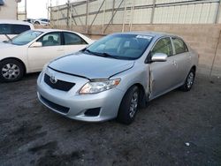 Salvage cars for sale at Albuquerque, NM auction: 2010 Toyota Corolla Base