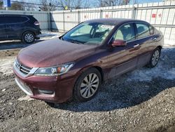 Salvage cars for sale at Walton, KY auction: 2015 Honda Accord EXL