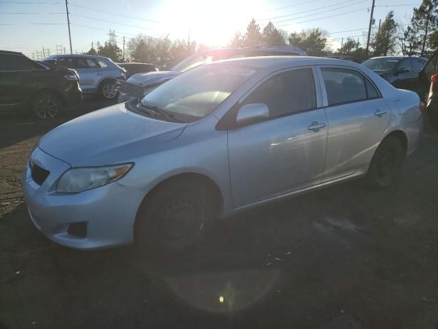 2010 Toyota Corolla Base