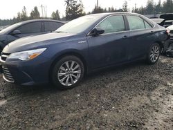 Toyota Camry Hybrid salvage cars for sale: 2015 Toyota Camry Hybrid