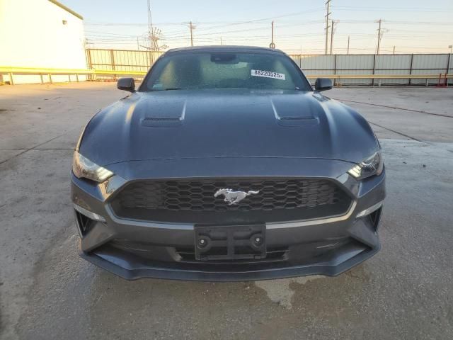 2019 Ford Mustang