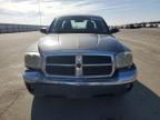 2005 Dodge Dakota SLT