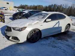 Salvage cars for sale at auction: 2019 Acura TLX Technology