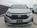 2022 Honda Odyssey EXL