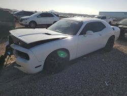 Dodge salvage cars for sale: 2013 Dodge Challenger SXT