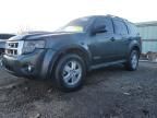 2008 Ford Escape XLT