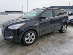 Ford Escape salvage cars for sale: 2015 Ford Escape SE