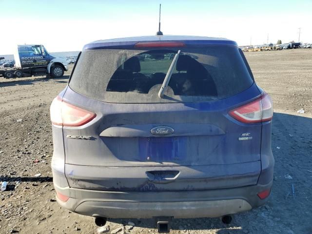 2013 Ford Escape SE