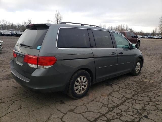 2008 Honda Odyssey EXL