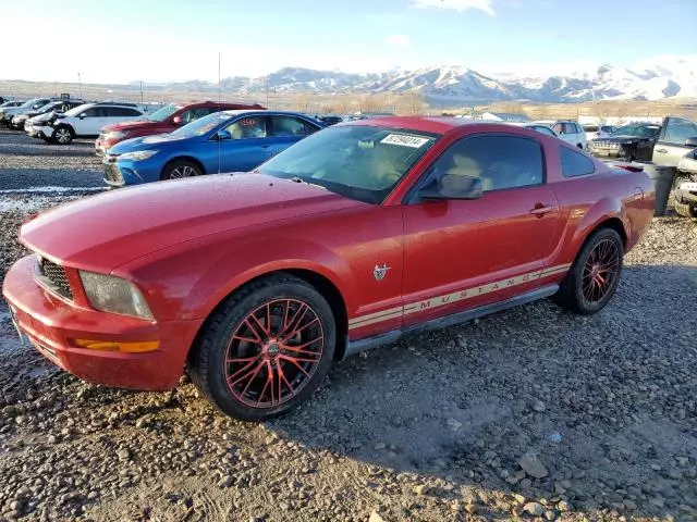 2009 Ford Mustang