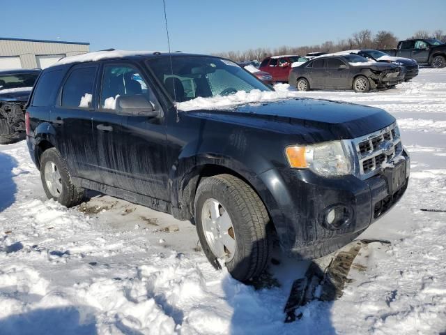 2012 Ford Escape XLT