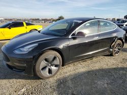 Salvage cars for sale at Antelope, CA auction: 2019 Tesla Model 3