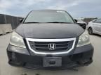 2008 Honda Odyssey EXL