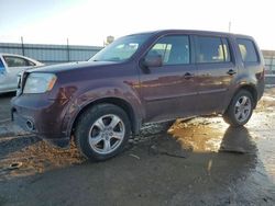 Honda Pilot salvage cars for sale: 2013 Honda Pilot EXL