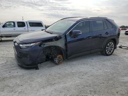 Salvage cars for sale at Arcadia, FL auction: 2023 Toyota Rav4 XLE Premium