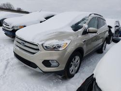 SUV salvage a la venta en subasta: 2018 Ford Escape SEL