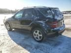 2008 Mercedes-Benz ML 350