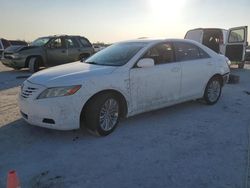 Salvage cars for sale at Arcadia, FL auction: 2007 Toyota Camry LE