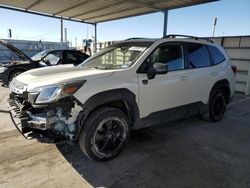 Salvage cars for sale at Anthony, TX auction: 2023 Subaru Forester Wilderness