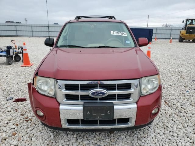 2010 Ford Escape Limited