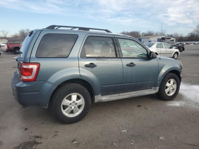 2011 Ford Escape XLT