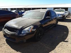 Salvage cars for sale at Phoenix, AZ auction: 2007 Nissan Maxima SE