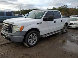 Ford f150 Supercrew Vehiculos salvage en venta: 2010 Ford F150 Supercrew