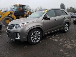 Salvage cars for sale at Portland, OR auction: 2014 KIA Sorento SX