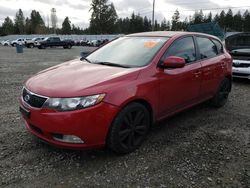 KIA salvage cars for sale: 2013 KIA Forte SX