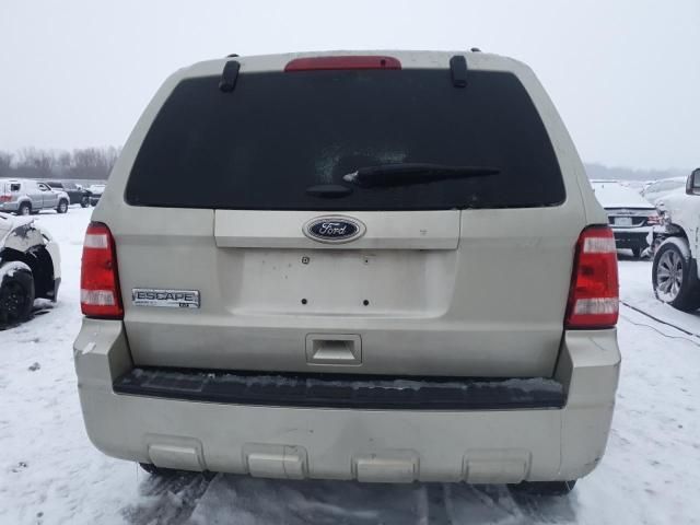 2011 Ford Escape XLT