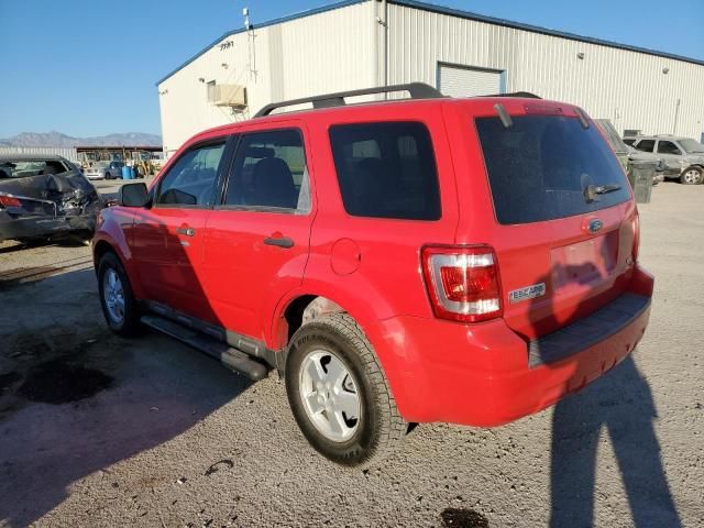 2009 Ford Escape XLT