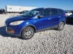 2013 Ford Escape S