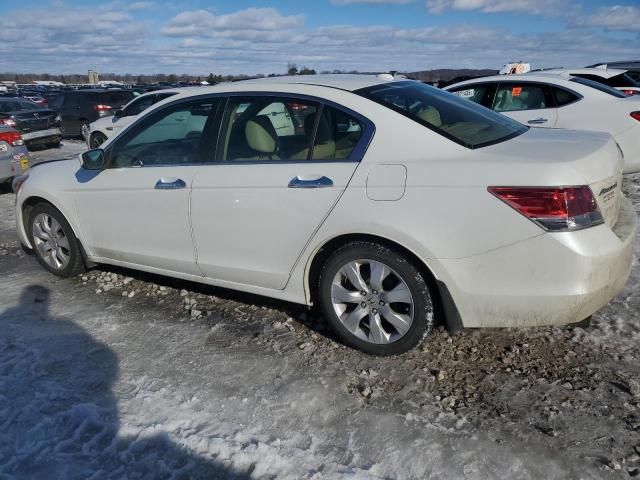 2010 Honda Accord EXL