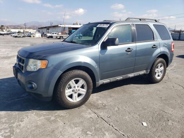 2011 Ford Escape Hybrid