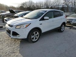 Ford Escape Vehiculos salvage en venta: 2015 Ford Escape SE