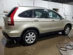 2009 Honda CR-V EXL