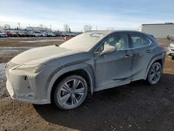 2021 Lexus UX 250H en venta en Rocky View County, AB