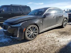 2021 Cadillac CT5 Luxury en venta en Dyer, IN