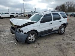 Salvage cars for sale at auction: 2004 Ford Escape XLS