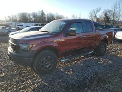 Vehiculos salvage en venta de Copart Chalfont, PA: 2009 Ford F150 Super Cab