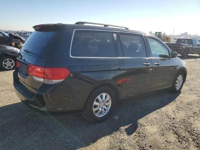 2008 Honda Odyssey EXL