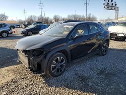 Salvage cars for sale at Columbus, OH auction: 2019 Lexus UX 250H