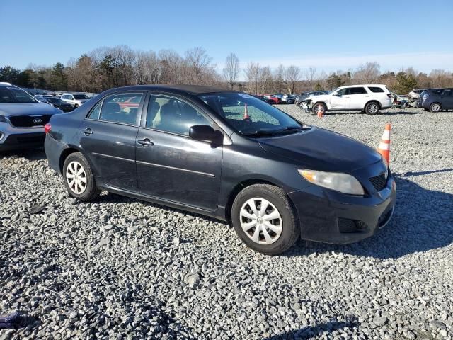 2010 Toyota Corolla Base