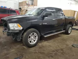 Salvage cars for sale at Ham Lake, MN auction: 2009 Dodge RAM 1500