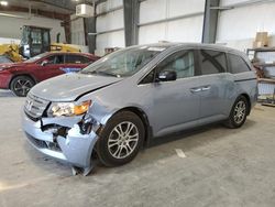 Salvage cars for sale at Greenwood, NE auction: 2011 Honda Odyssey EXL